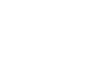 Maven Business Plans
